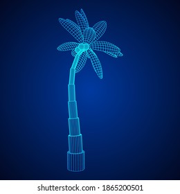 Coconut palm tree with leaves. Wireframe low poly mesh vector illustration.