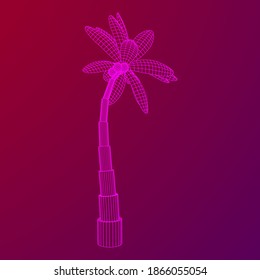 Palmera de coco con hojas. Ilustración vectorial de malla baja de malla de malla de alambre.