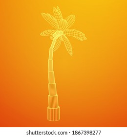 Coconut palm tree with leaves. Wireframe low poly mesh vector illustration.