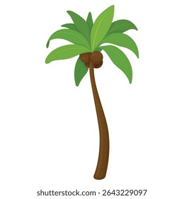 Coconut palm tree with lush green leaves and ripe coconuts on white background, perfect for tropical themes or summer designs.