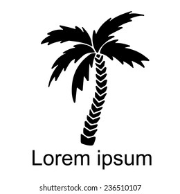 Coconut palm tree natural icon isolated on a white background, art logo design