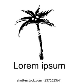 Coconut palm tree natural icon isolated on a white background, art logo design