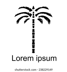 Coconut palm tree natural icon isolated on a white background, art logo design