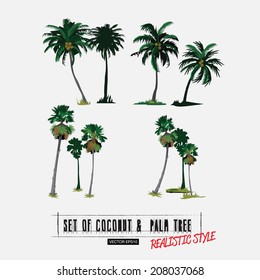 coconut and palm tree in realistic style - vector 