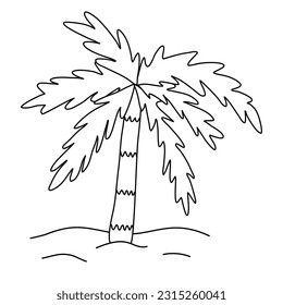 Coconut palm tree in sand, doodle style flat vector outline for coloring book