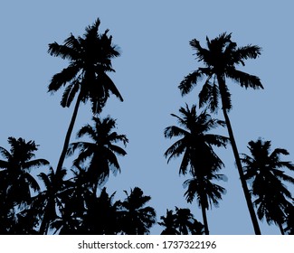 Coconut palm tree. Set of realistic vector illustrations on 
Gray background.