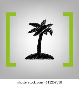 Coconut palm tree sign. Vector. Black scribble icon in citron brackets on grayish background.