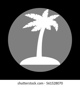 Coconut palm tree sign. White icon in gray circle at black background. Circumscribed circle. Circumcircle.