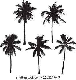 Coconut Palm Tree Silhouette Elements