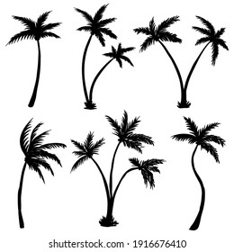 Coconut palm tree silhouette illustration for your company or brand