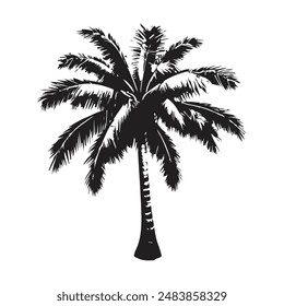 ilustraciones de silueta de palmera de coco en negro