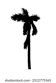 Ilustración vectorial de silueta de palmera de coco en blanco y negro