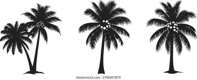 Ilustración vectorial de la silueta de la palmera del coco, colección tropical del diseño de la naturaleza, concepto decorativo del elemento de la isla, Paquete gráfico editable, sistema creativo del símbolo del verano de la playa