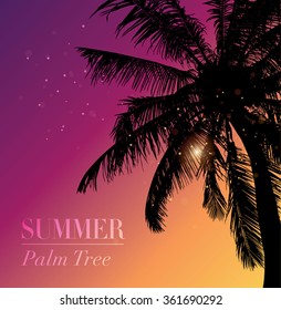 Coconut palm tree silhouette.  Vector.