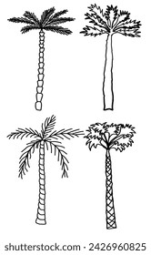 Coconut palm tree sketch icons set. Engraved tropical plants on white background, vector illustration