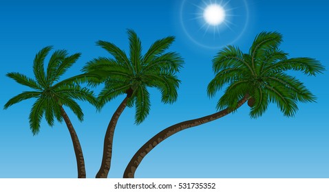 coconut palm tree and sun vector