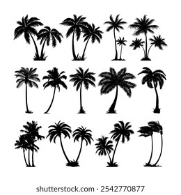 coconut palm tree tropical vector silhouette