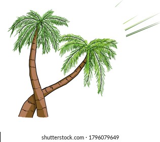 Ilustración del vector de la palma de coco dibujado a mano Estilo de garabato de doodle eps