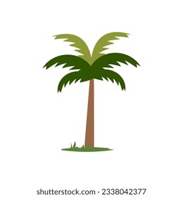 Coconut palm tree vector illustration, tropical plant isolated 
