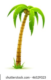 coconut palm tree - vector illustration, isolated on white background