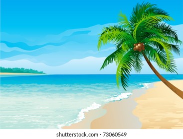 Coconut palm tree. Vector illustration  of coconut palm tree on tropical beach - Horizontal format.