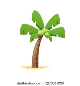 Coconut palm tree vector isolated
