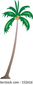 Coconut Palm Tree, White isolated - Vector