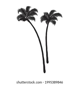 El diseño de las palmeras de coco. Diseño creativo.