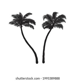 Coconut palm trees design. Creative design.