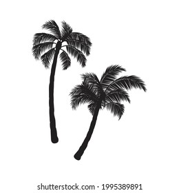 Coconut palm trees design. Creative design.