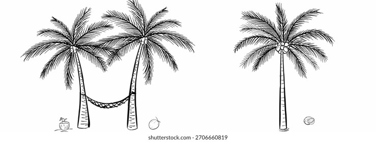 Palmeiras de coco com ilustração de arte de linha de rede