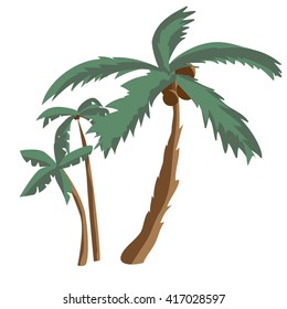 Coconut palm trees isolated on white background. Palm tree on a sunny summer day vacation. Vector flat illustration