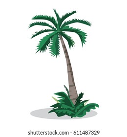 Coconut palm trees isolated on white background. Palm tree on a sunny summer day vacation. Vector flat illustration