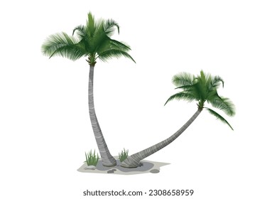 Palmeras de coco ilustraciones vectoriales realistas aisladas en arena de fondo blanco, piedra y hierba
