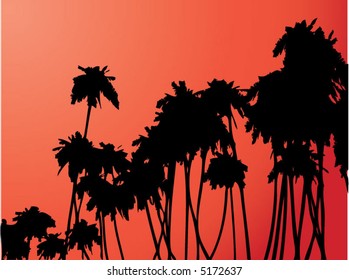 Coconut palm trees - vector illustration