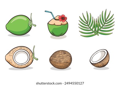 Coconut, palm tropical fruit isolated on white. Set image of Coco , cocktail, whole, half, slice, raw, peeled, leaf. Vector cartoon set icon coconut.