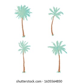 Coconut palms. Illustration on white background for design