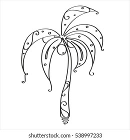 Coconut palms. Palm tree with coconuts on the beach.
