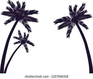 Coconut palms silhouettes.
