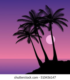 Coconut palms. Silhouettes of palm trees against the night sky. Vector illustration.
