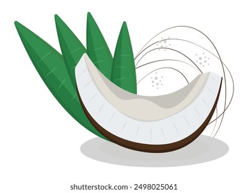 Coconut piece with leaves, raw nut slice, colorful illustration