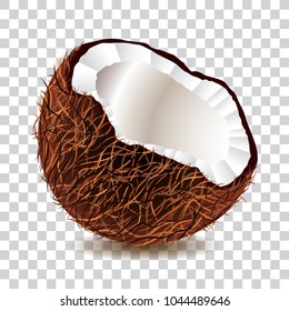 Coconut piece, realistic, isolated vector illustration.