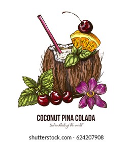 Coconut Pina Colada with orchid flower, vector illustration, colored sketch hand drawn