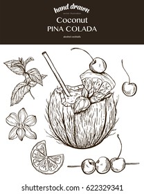 Coconut Pina Colada. Vector sketch illustration of cocktails. Hand drawn.