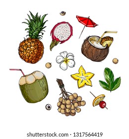 Coconut, pineapple, longan, pitahaya. Fruits drawn by a line on a white background. Fruits from Thailand. Food sketch lines.