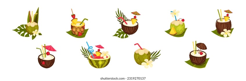 Coconut, Pineapple and Watermelon Cocktail in Half Fruit with Straw Vector Set