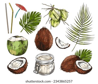 Coconut plant and production of coconut oil design elements set, sketch hand drawn vector illustration isolated on white background. Set of coconut color elements.