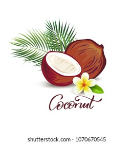 Coconut and plumeria flower illustration. Good for wellness, beauty salon, medicine and food designs