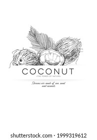 Coconut poster, retro hand drawn vector illustration. Template for packaging label design coco product for vegan nutrition, vintage engraving sketch. Modern background.