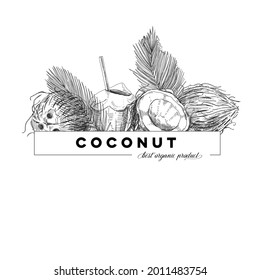 Cartel de coco, ilustración vectorial retro dibujada a mano. Plantilla para el diseño de etiquetas de empaque producto de coco para nutrición vegana, boceto de grabado vintage. Fondo moderno.